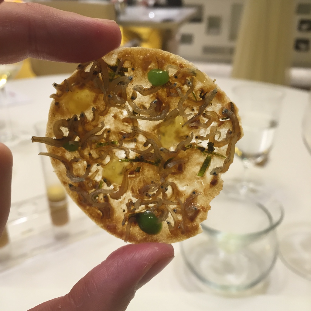 Reflexiones sobre las&nbsp;refracciones